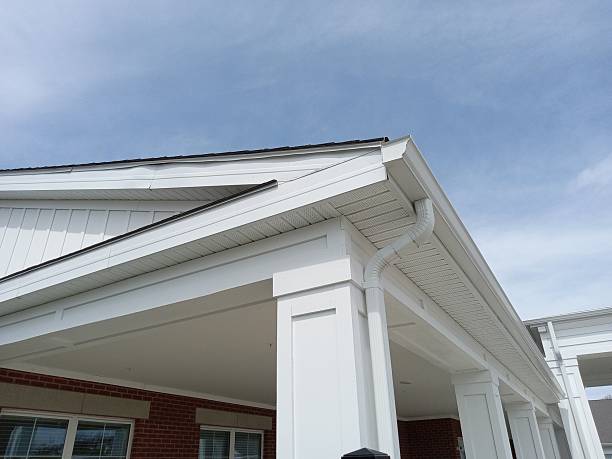 Soffit and fascia repair in Chicago IL
