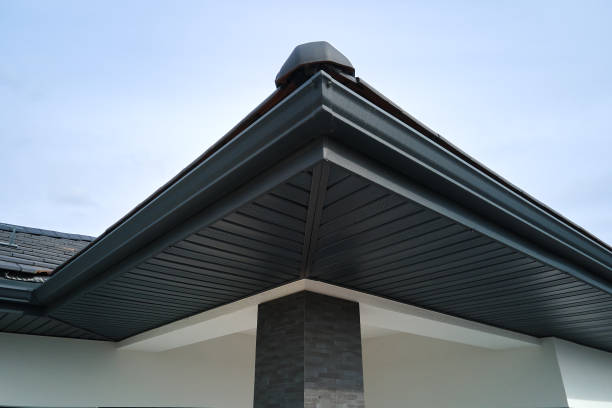 Roof edge and gutter close-up in Niles IL residential exterior work